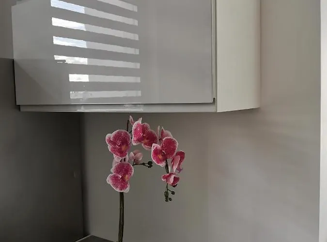 Nowoczesny, Rodzinny Z Widokiem Na Morze